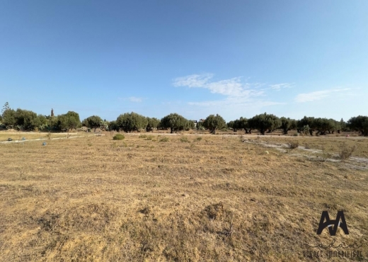 Terrain constructible de 800m²
