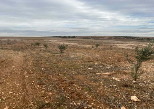 TERRAIN AGRICOLE A VENDRE