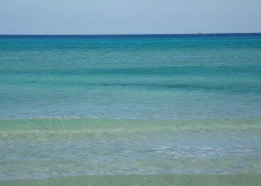 terrain à À Vendre à NABEUL - 50000 m² a 200 m a la plage