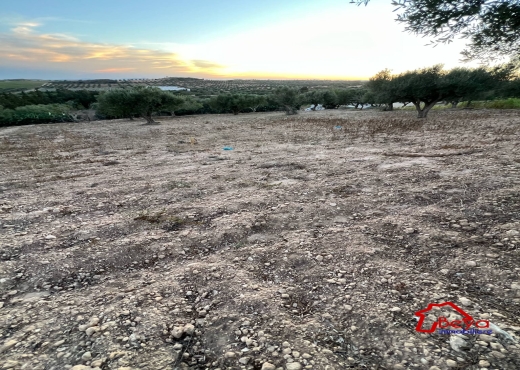 TERRAIN SUNSET VTM071