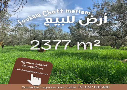 Terrian de 2377 m² a foukaia chott