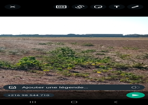 Terrain à vendre ariana