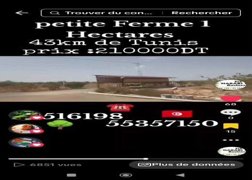 Une charmante petite ferme