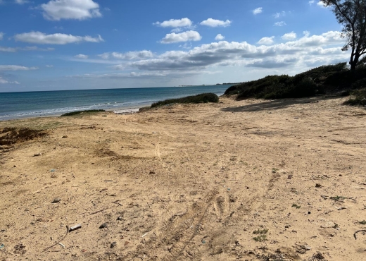 UN TERRAIN DE 1 HECTARE