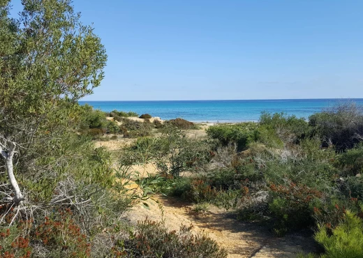 terrain à À Vendre à NABEUL - investir un terrain de 5 hectare