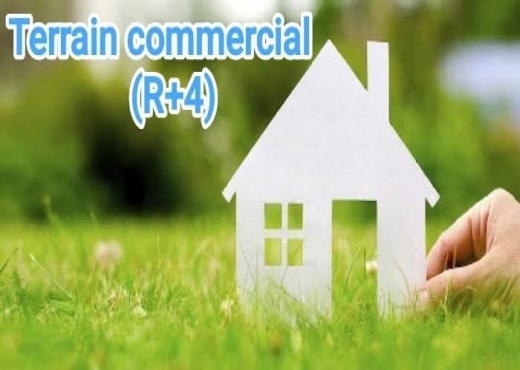 TERRAIN COMMERCIAL R+4