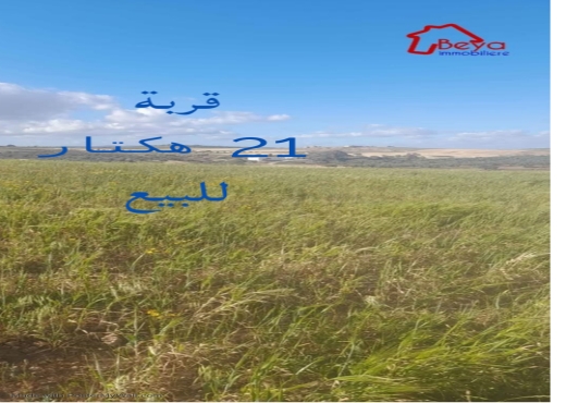 21 hectares بعلي