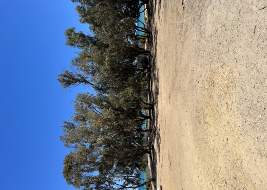 Une bonne affaire terrain à nabeul