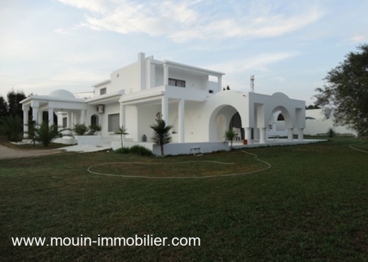 VILLA FINIKIA Hammamet AV1731