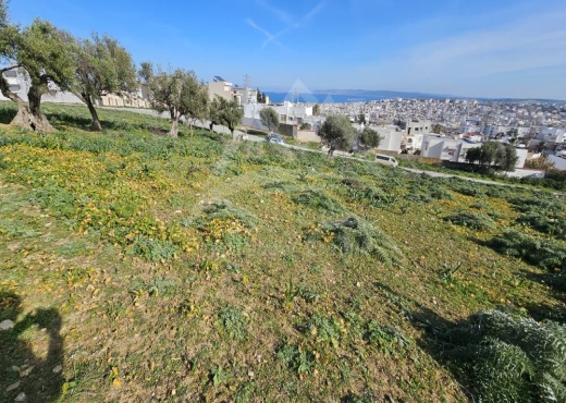 A  Vendre Terrain Bhira Bizerte