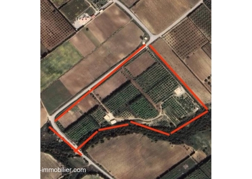 terrain à À Vendre à NABEUL - Ferme Hela T1227 Nabeul