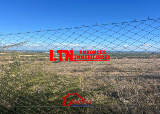 2 hectares à vendre