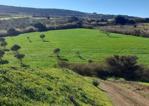 Terrainà  raf raf  de 2400 m².