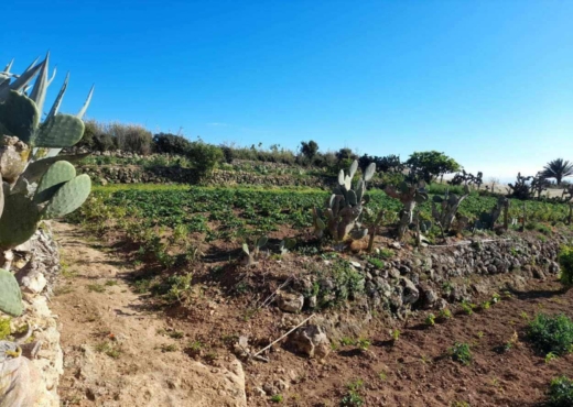 terrain à À Vendre à BIZERTE - Terrain a raf raf  1 hectare