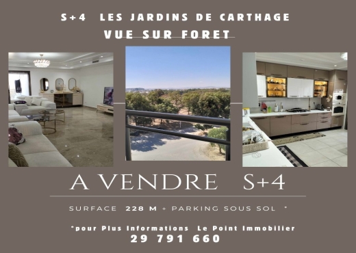 S+4 Opportunite  jardins de Carthg