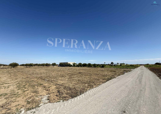 Vente Terrain Loukas