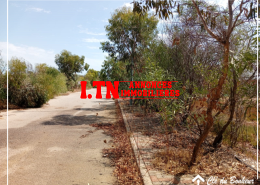 un lot de terrain viabilisé à raoued