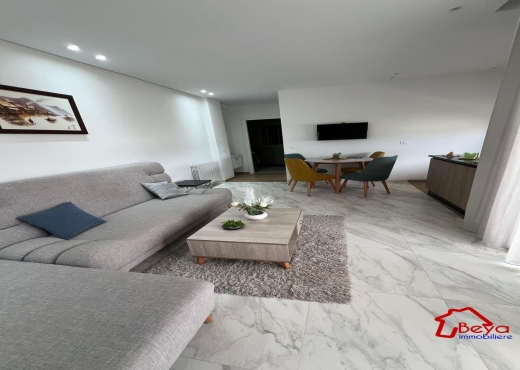 vente appartement avec meubles
