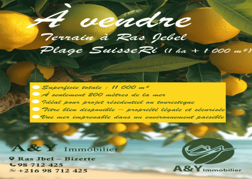 Terrain à vendre à Ras Jebel – Plage Suisseri 🌿🍃