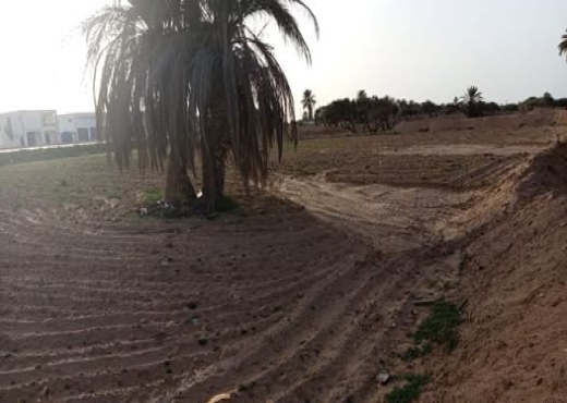 Terrain à vendre Midoun Djerba