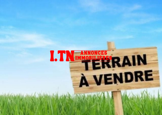 A vendre Terrain à Baghdadi Mahdia