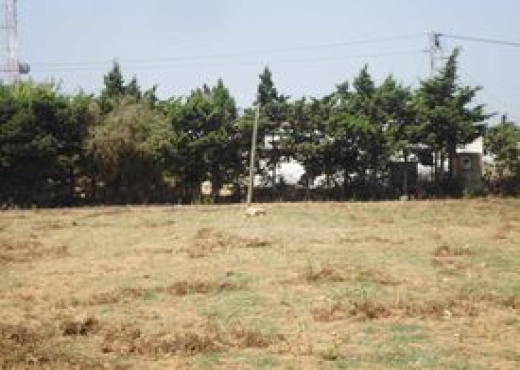 vente lots de terrain