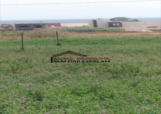 maison à À Vendre à NABEUL - des lots de terrain près de la mer