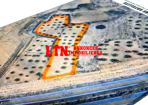 A Vendre Terrain à Sidi Bouali