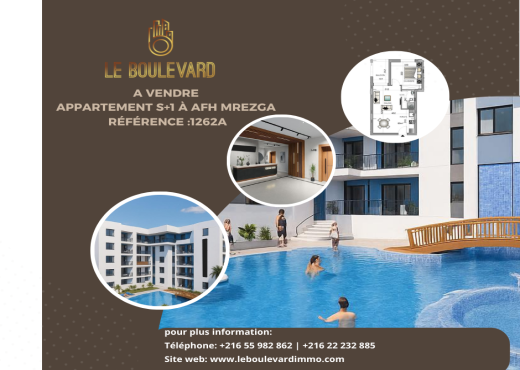 A vendre appartement S+1 à AFH