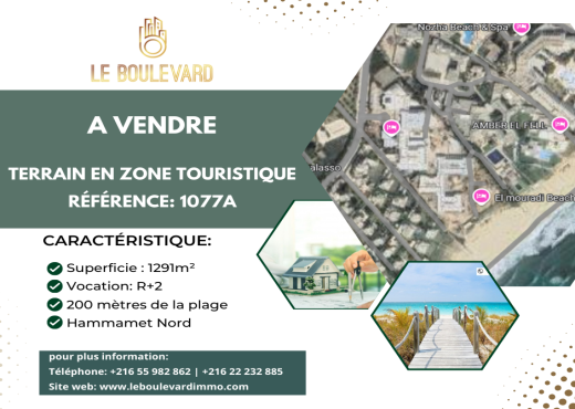 Terrain 1291m² En Zone Touristique