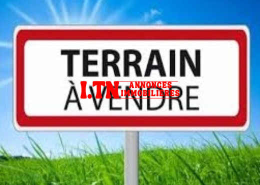 A vendre Terrain a sidi Amor