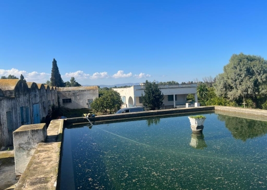 à vendre à soliman