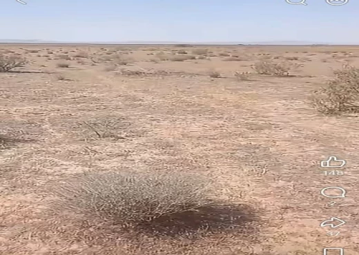 terrain à À Vendre à SIDI BOUZID - Vente d'un terrain agricole