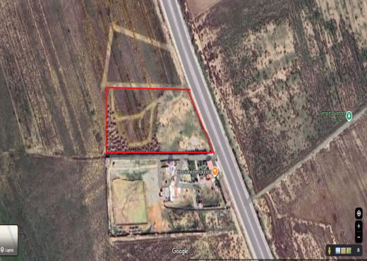 À vendre : Terrain 12 000 m² à Kal