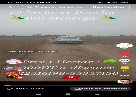 23 hectares excellentes sol fertil