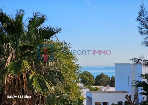 villa a louer a Carthage