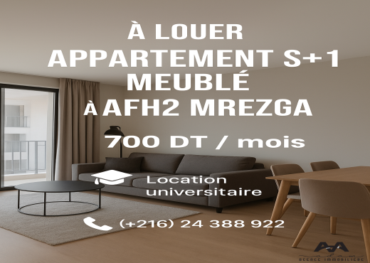 Appartement S+1 meublé à AFH2