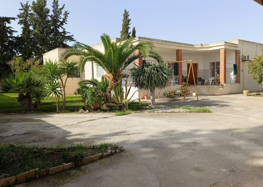 à vendre à la soukra