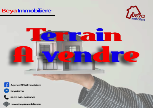 terrain NERO VTN006