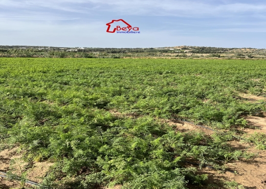 2 hectares avec un studio