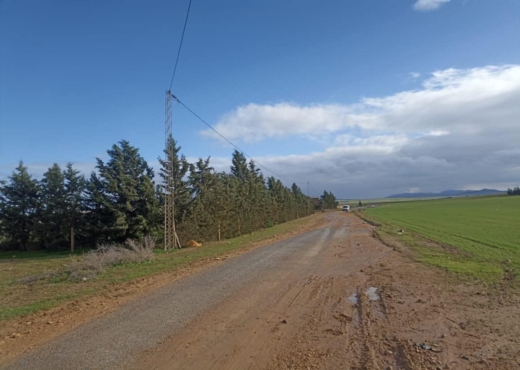 30 hectares pour  a tous les arbre
