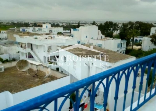 s4 à Sidi Bou Said ZDL0455