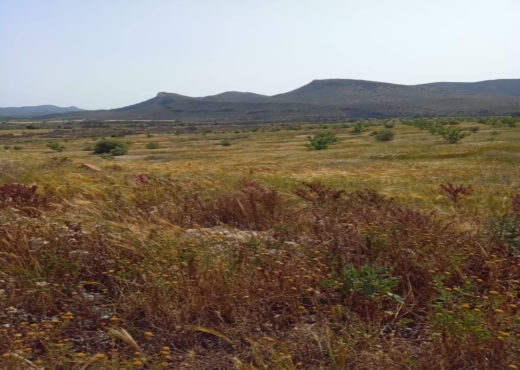 terrain agricole