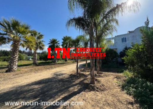 FERME BENI KHALLED 2 T1225