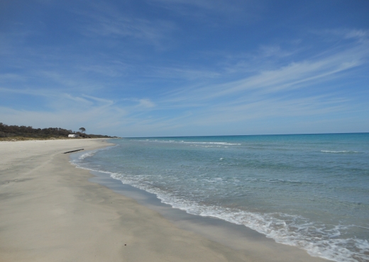 A VNDRE UN TERRAIN DE 2 HECTARE