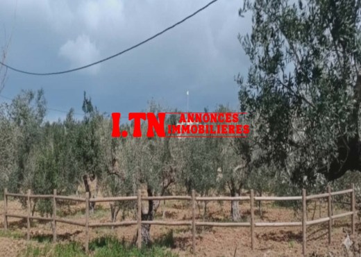 TERRAIN AGRICOLE A VENDRE