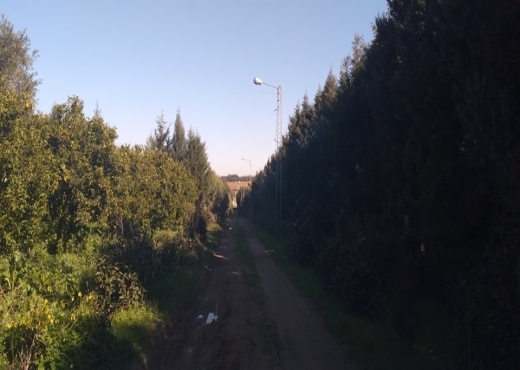 terrain a borj hfaiedh 2000 m