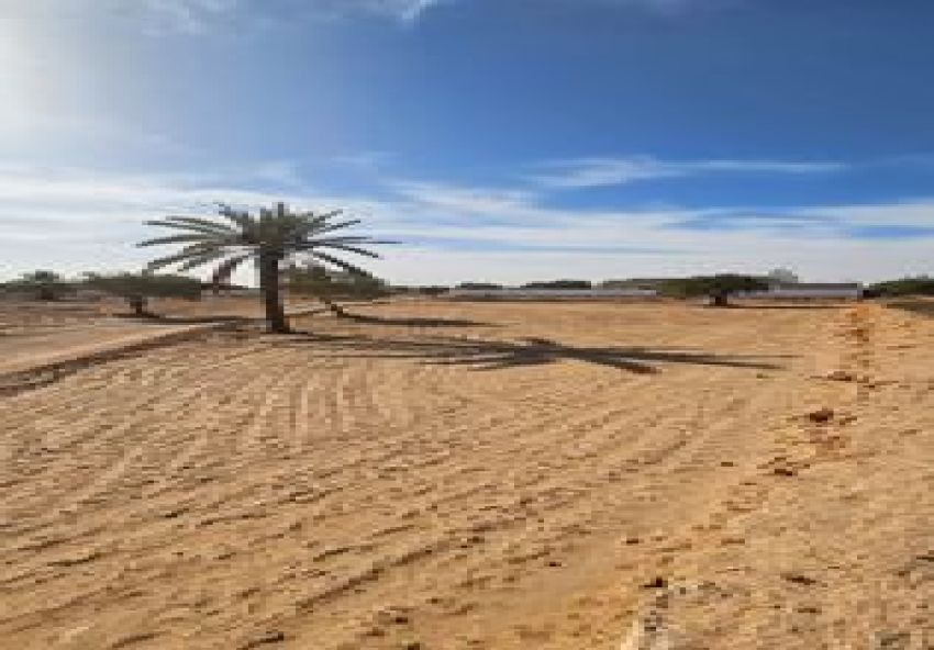 A vendre terrain à Djerba