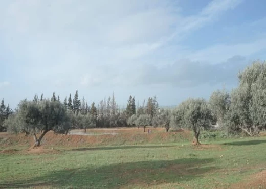 terrain à À Vendre à ARIANA - A vendre un très beau terrain  à Sidi Thabet