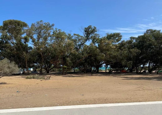 terrain à À Vendre à NABEUL - occasion a ne pas rater de 5 ha